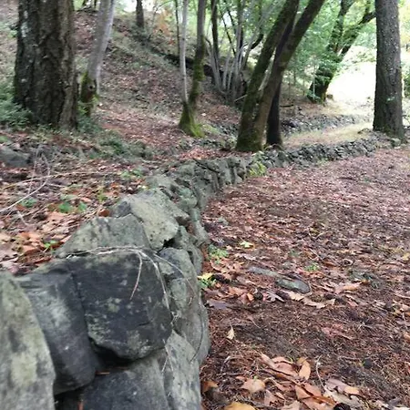 Avenue Of The Giants Caraway Cottage Miranda Esterno foto