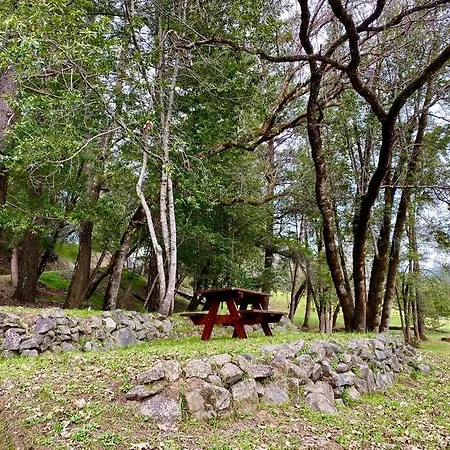 Avenue Of The Giants Caraway Cottage Miranda Esterno foto