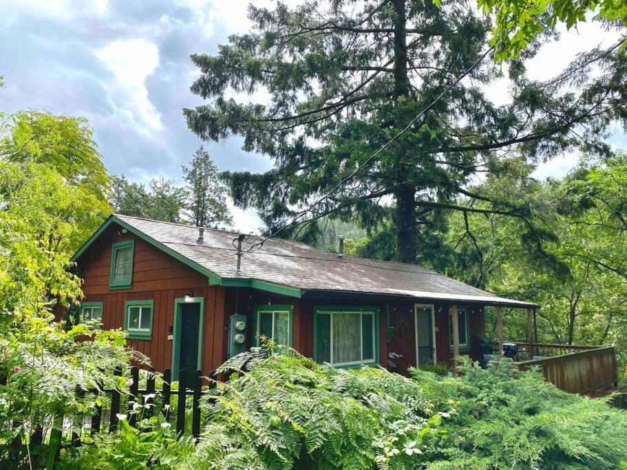 Avenue Of The Giants Caraway Holiday home *