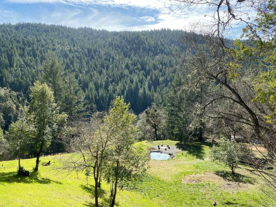 Avenue Of The Giants Caraway Holiday home Miranda