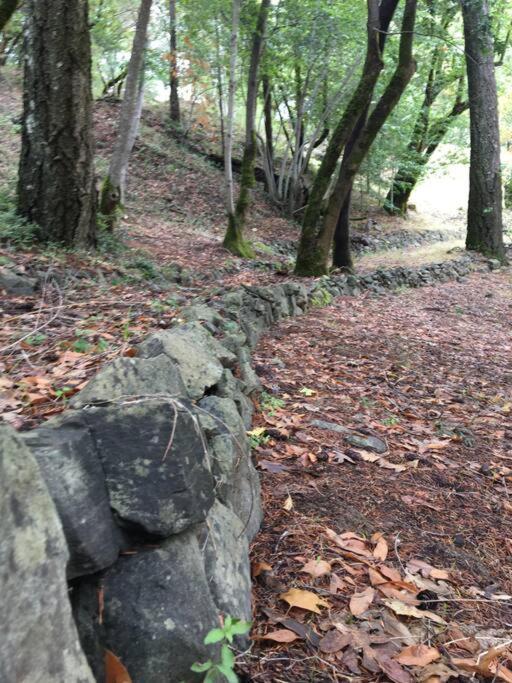 Avenue Of The Giants Caraway Holiday home