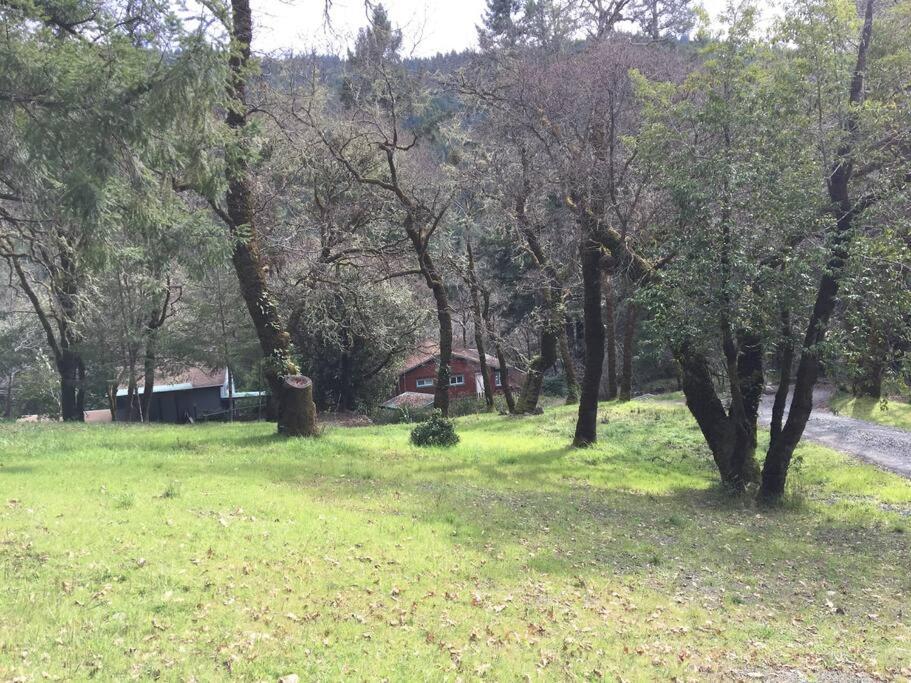 Avenue Of The Giants Caraway * Miranda
